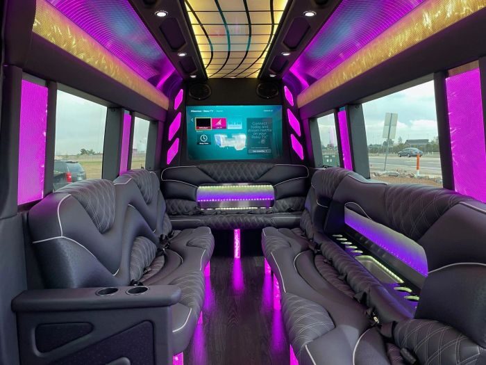 Sprinter limo lounge with TV β Pueblo limo service
